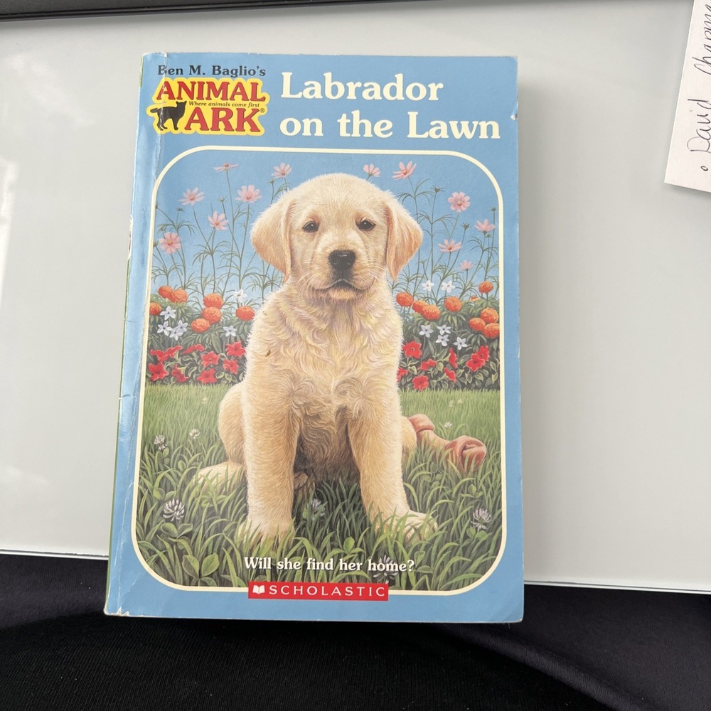 Labrador on the Lawn‎ by Lucy Daniels and Ben M. Baglio (2005, Digest Paperback)